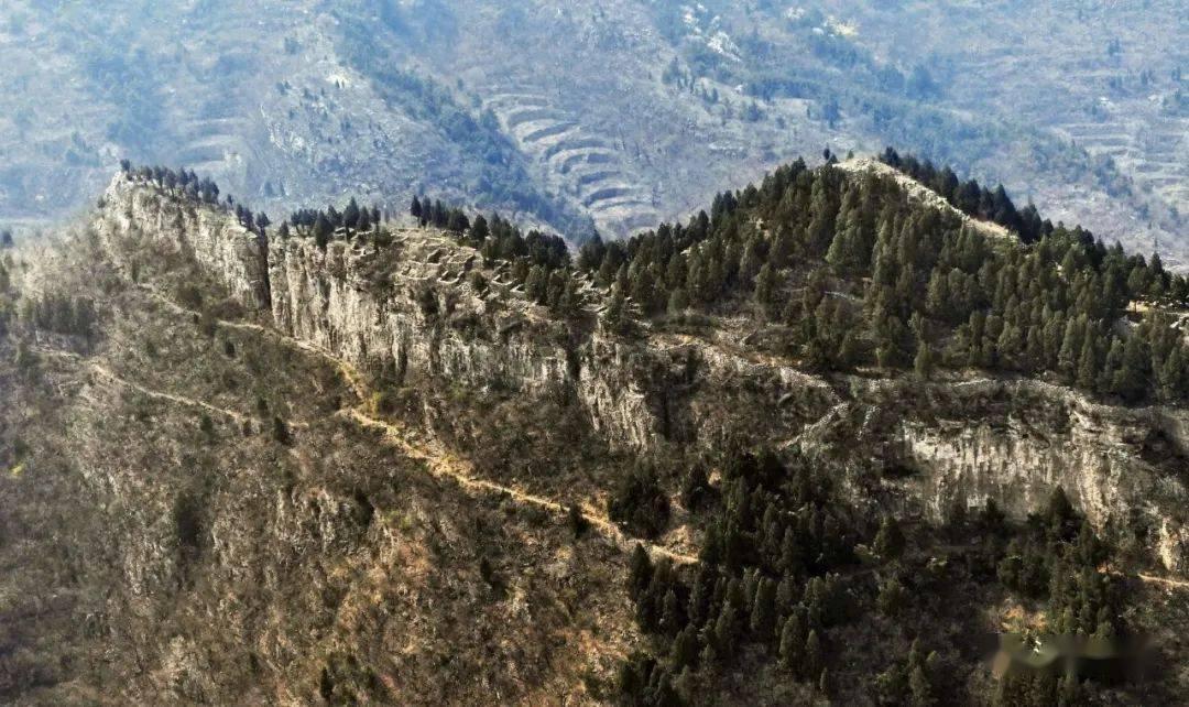赵峥:二十载相爱,真爱姐弟恋,百分百好丈夫、好爸爸!
